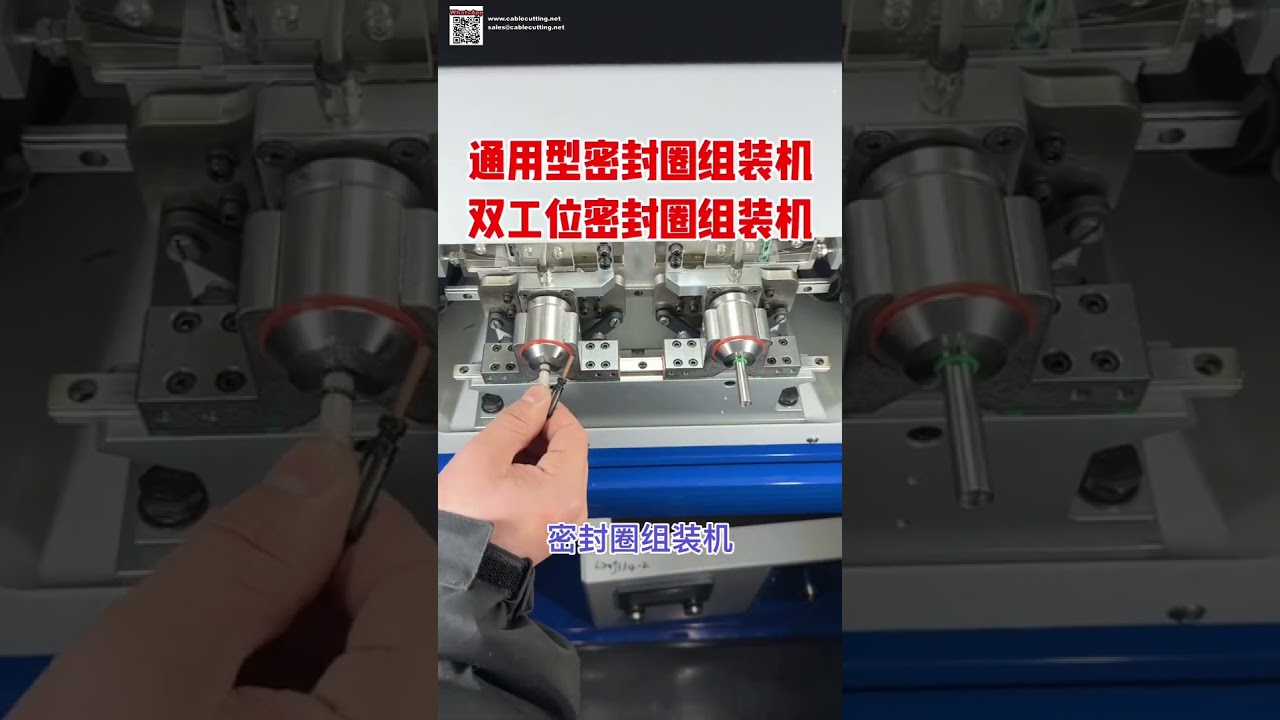 Automatic Seal Ring Assembly Machine for Rubber O Rings and Oil Seal Components - Shorts