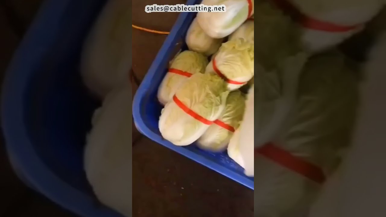 Bundling Machine for Noodles, Cabbage, Gloves   Food Service Equipment #factory #machine #diy