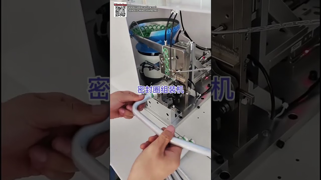 High Speed Automatic Assembly Machine Equipment for Silicone O Ring Sealing Rings - Shorts
