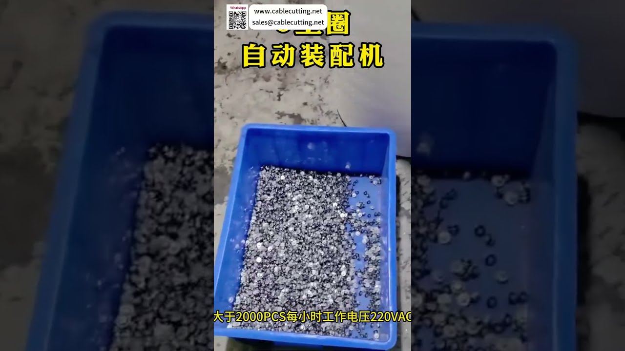 Affordable Model 602 O Ring Assembly Machine High Precision Sealing Automated Machinery - Shorts