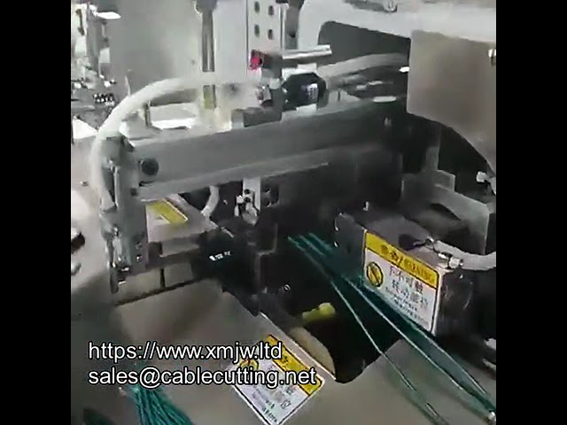 Double head Dip Tin Machine Fully Automatic 10 wire Cutting Line Stripping Twisting Double Head Dip