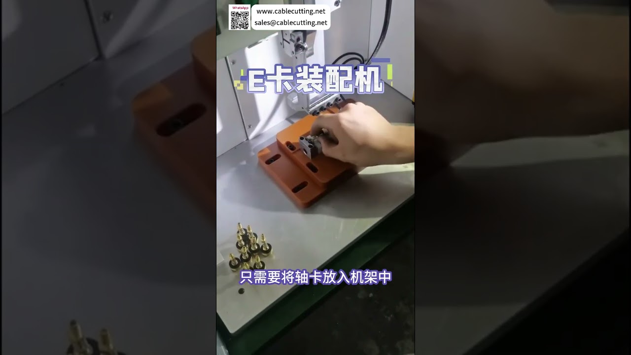 High Quality E Ring Assembly Machine Reliable Custom Automatic Manufacturing Equipment Factory - Shorts