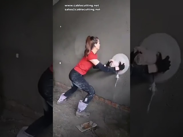 220V 3280W Electric Wall Polisher Portable Adjustable Speed Sanding Waxing Machine Handle Auto Furni