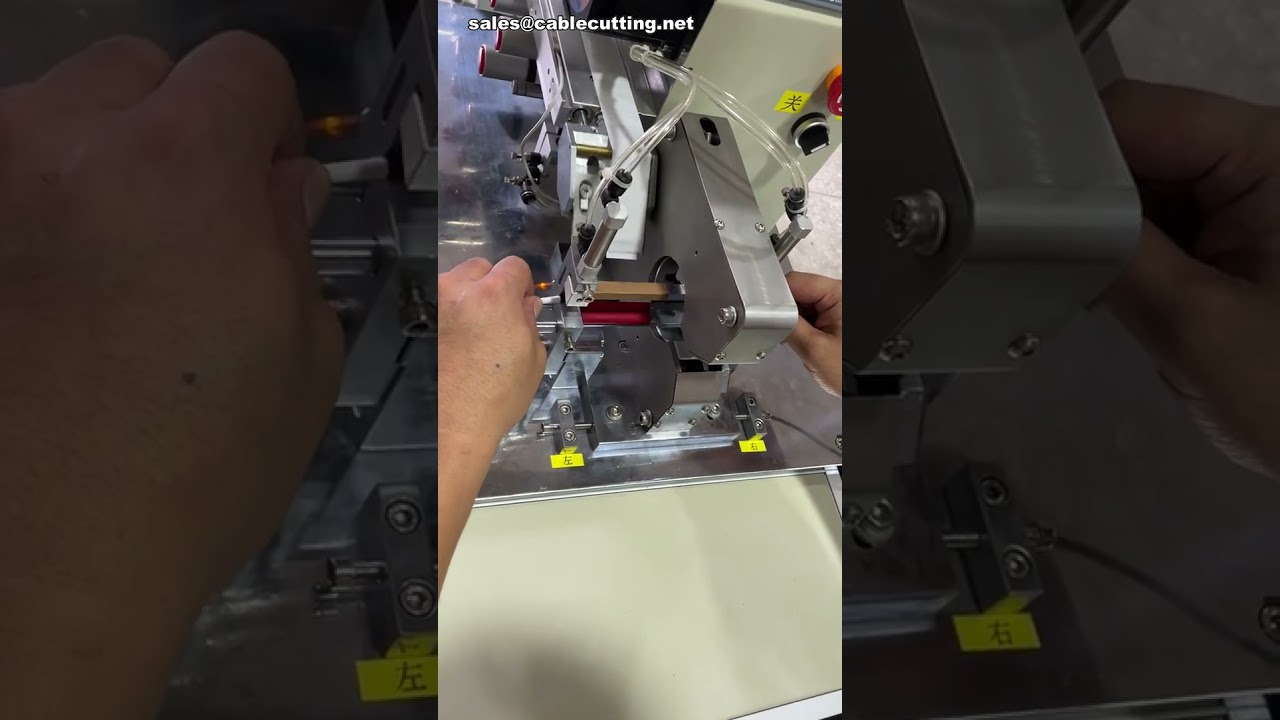 Fixed Length Roll Labeling Machine  Label Applicator #machine #factory #diy