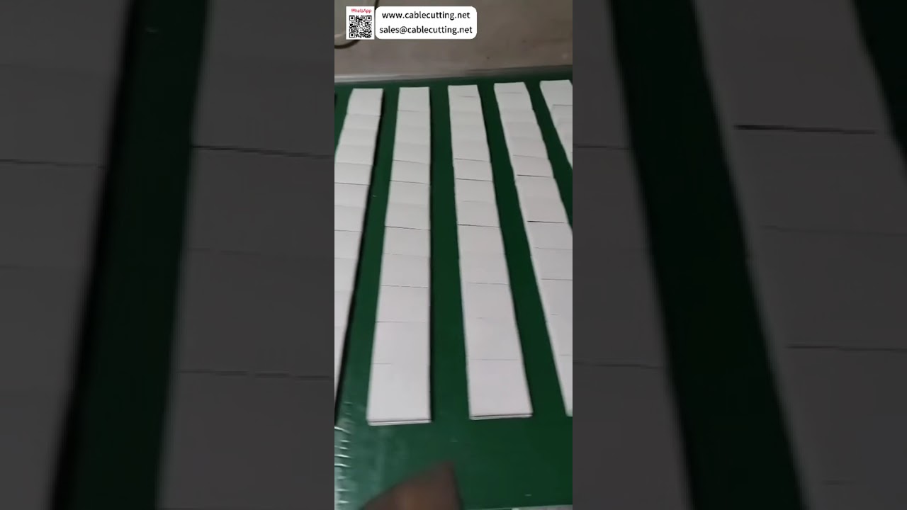Slitting and Transverse Cutting Cutter Conveyor Feeding Automation Roll Setting Process Tools - Shorts