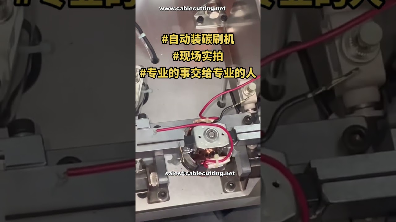 High Efficiency Automatic Carbon Brush Assembly Machine # Factory Demo # Repeat Customer Order