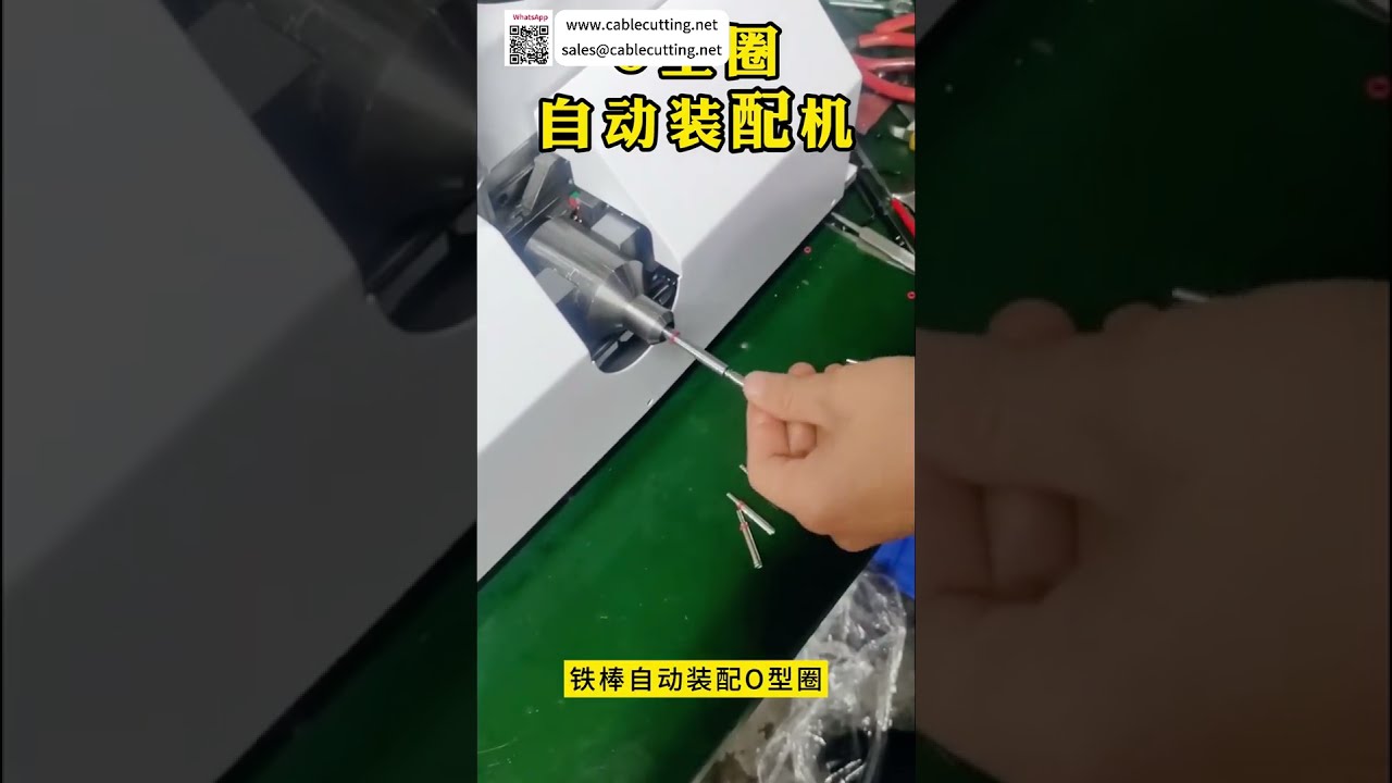 Máquina automática de montagem de anéis de vedação KRS 604: maquinário de vedação de alta precisã... - Shorts